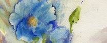 blupoppy_detail.jpg