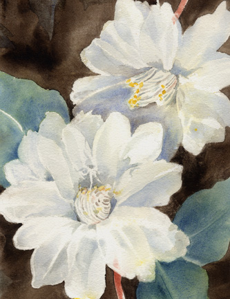 nightblooms2_72.jpg