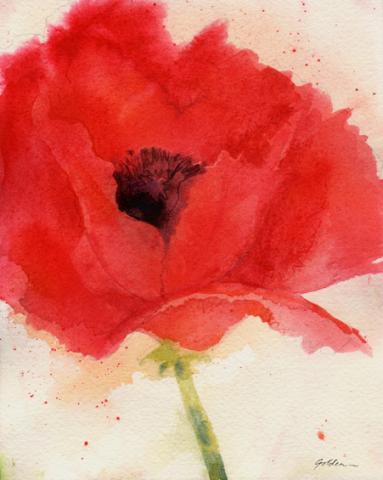 redpoppy_georgia.jpg
